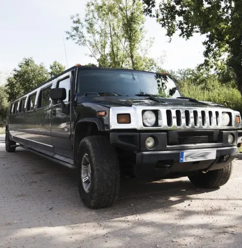 Wroclaw STRIPPAD HUMMER