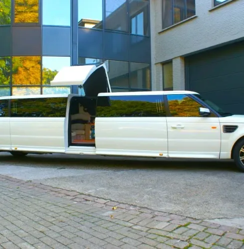 Amsterdam Stripplimousin Från Flygplatsen